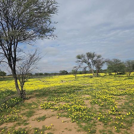 Kaoko Bush Lodge Kamanjab Экстерьер фото