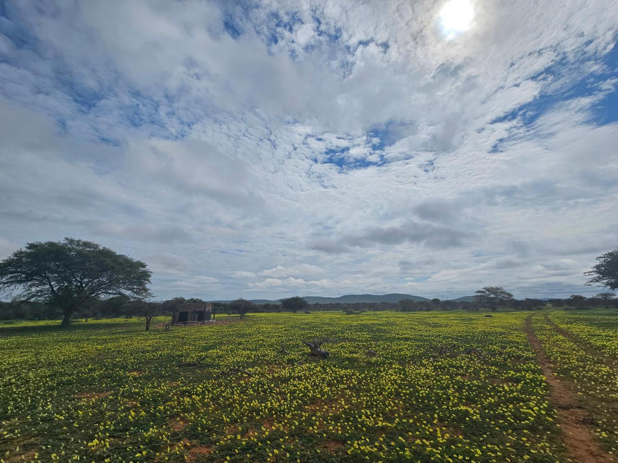 Kaoko Bush Lodge Kamanjab Экстерьер фото